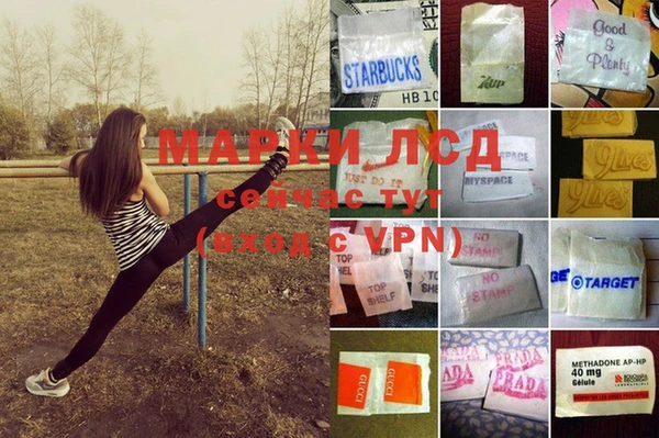 мяу мяу мука Аркадак