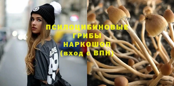 трава Нязепетровск