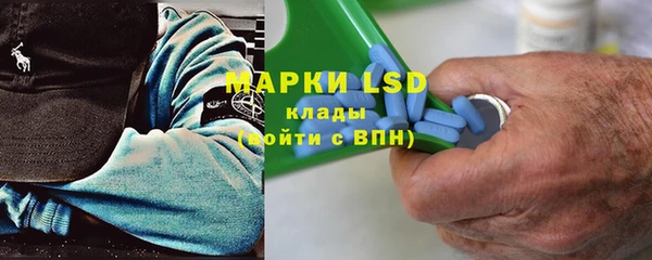 мяу мяу мука Аркадак